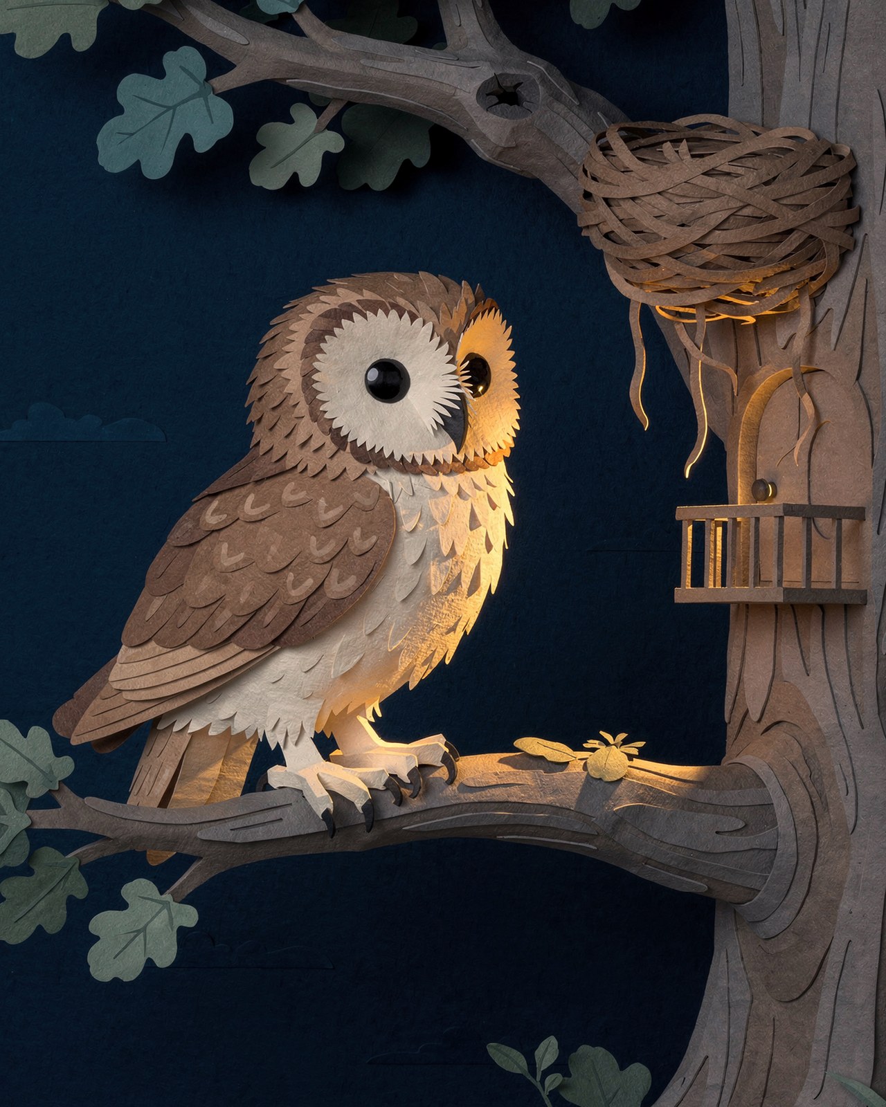 The Owlet Who Feared Air